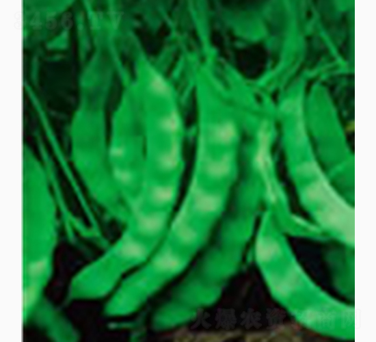 �������v�ض���-�Rɽ�N�I(y��)