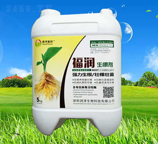 ������-����-��������