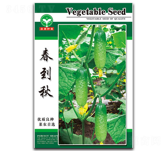 ������-�S�ϷN��-ȪԴ