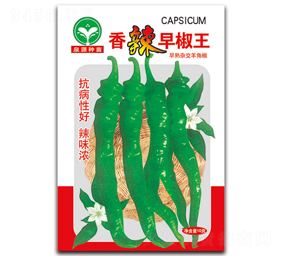 �����罷��-�����N��-ȪԴ