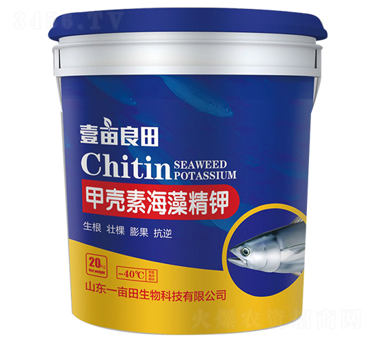 �ך��غ��徫�-Ҽ������