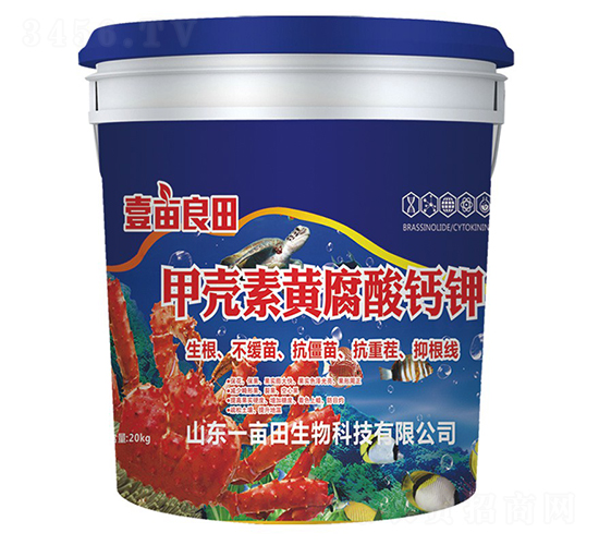 �ך����S�����}�-Ҽ������