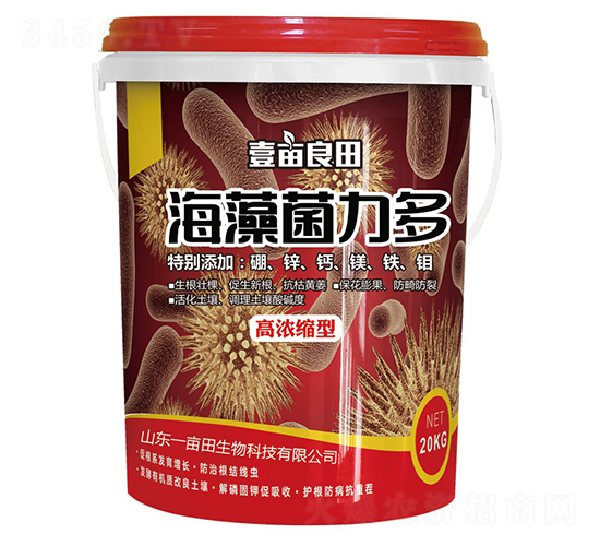 ���������-Ҽ������