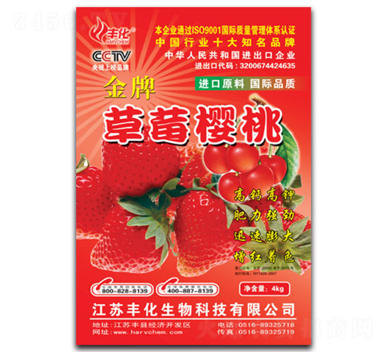 ��ݮ���Ҍ��÷�-�S��