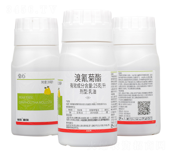 25��/�������������-ʡ��