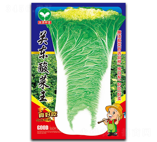 �P(gu��n)�|�����-�ײ˷N��-ȪԴ