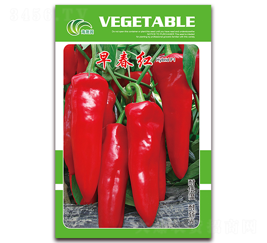 �紺�t-�t���N��-���Ɉ@