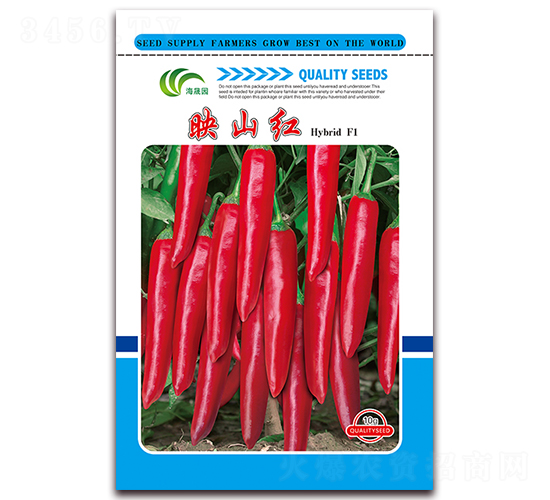 ӳɽ�t-�t���N��-���Ɉ@