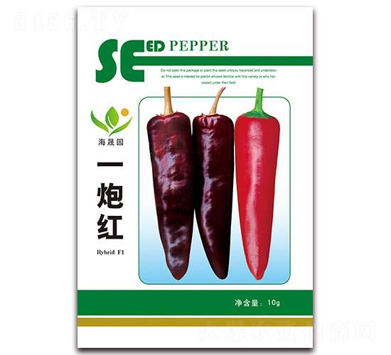 һ�ڼt-�t���N��-���Ɉ@