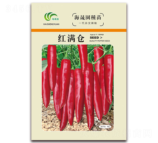 �t�M�}-�t���N��-���Ɉ@