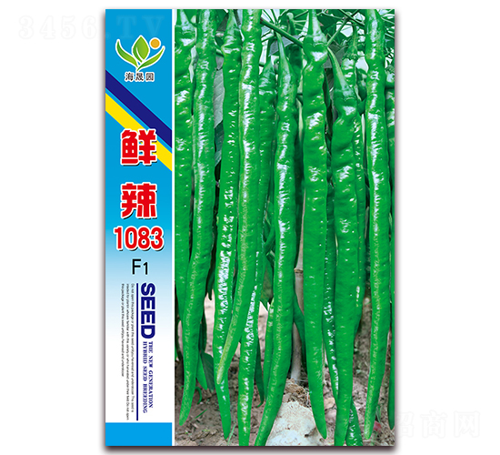 �r��1083-�����N��-���Ɉ@