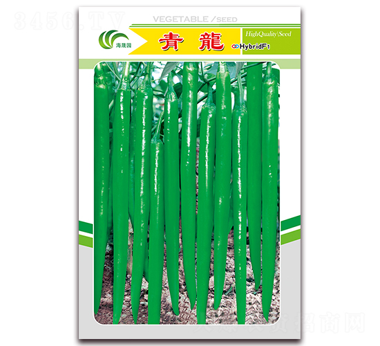 ����-�����N��-���Ɉ@