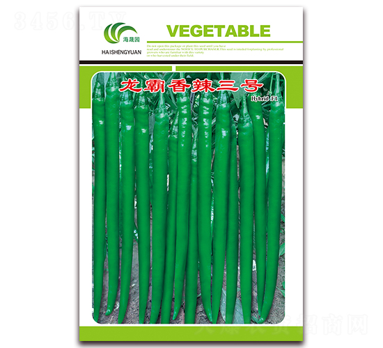 ����������̖-�����N��-���Ɉ@