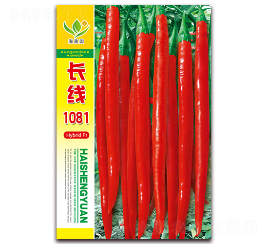 �L(zh��ng)��1081-�����N��-���Ɉ@