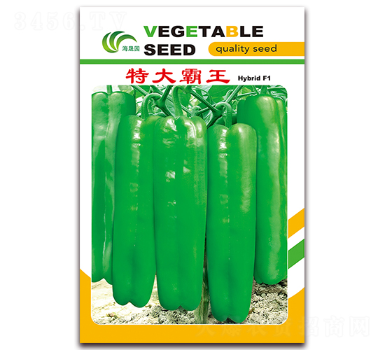 �ش����-��Ƥ�ݽ��N��-���Ɉ@