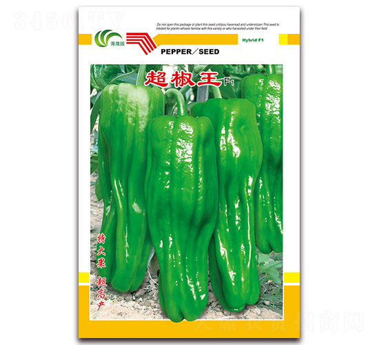 ������-��Ƥ�ݽ��N��-���Ɉ@