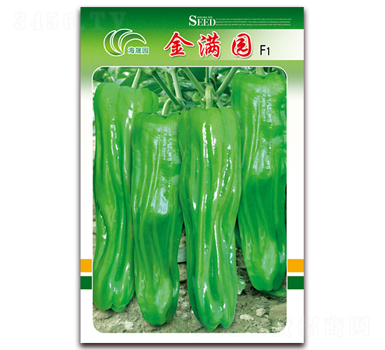 ��M�@-��Ƥ�ݽ��N��-���Ɉ@