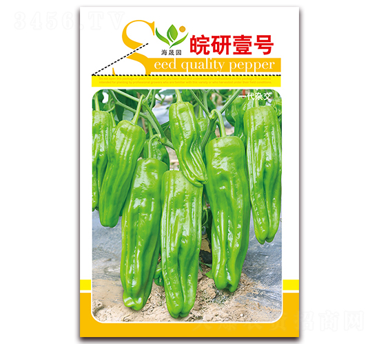 ����Ҽ̖-��Ƥ�ݽ��N��-���Ɉ@