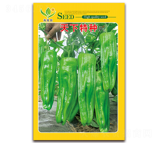 �����طN-��Ƥ�ݽ��N��-���Ɉ@