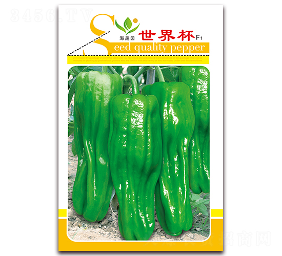 ���籭-��Ƥ�ݽ��N��-���Ɉ@