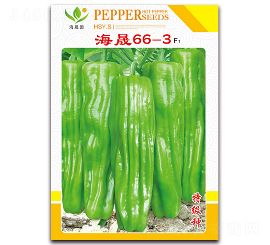 ����66-3-��Ƥ�ݽ��N��-���Ɉ@