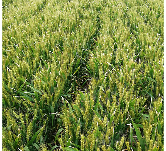 ��¡169-�A��N�I(y��)