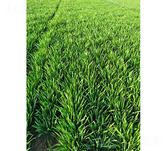 ¡ƽ��9118-�A��N�I(y��)