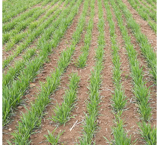 ����578-�A��N�I(y��)