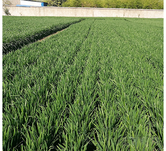 ����46-�A��N�I(y��)