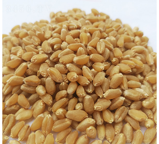 ɽ�r(n��ng)102-�A��N�I(y��)