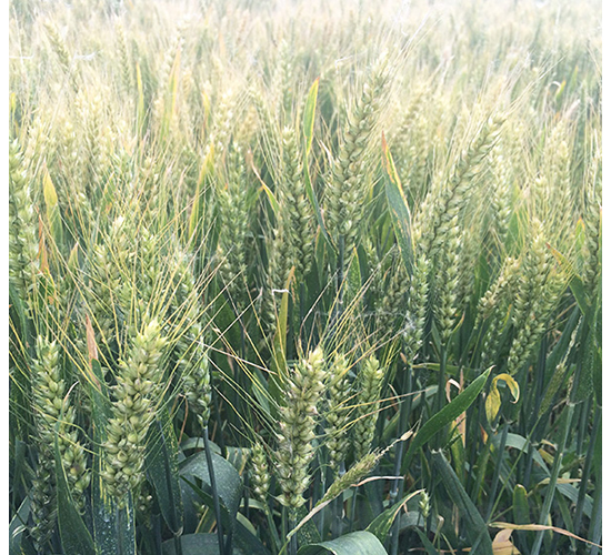 ����53-�A��N�I(y��)