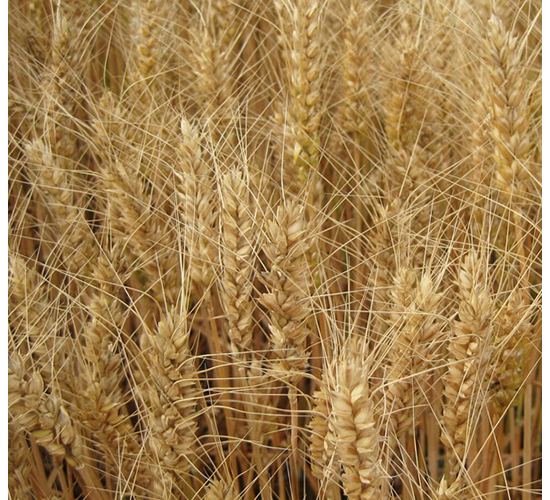 �(zh��n)��9̖-�A��N�I(y��)