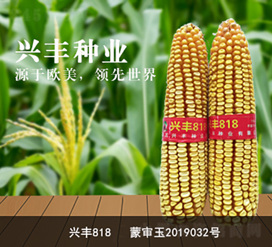 �d�S818-�d�S�N�I(y��)