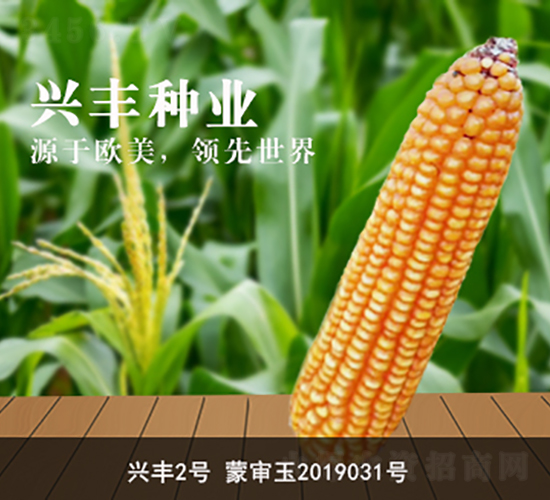 �d�S2̖-�d�S�N�I(y��)