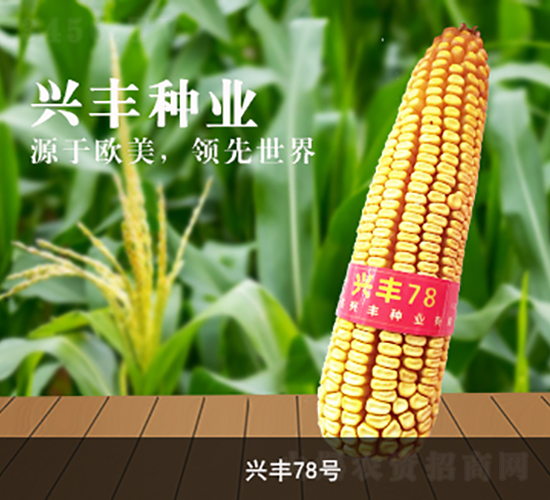 �d�S78̖(h��o)-���׷N��-�d�S�N�I(y��)