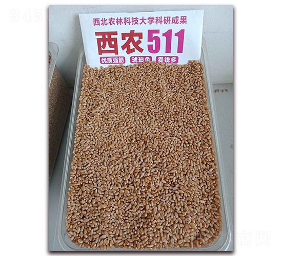 ���r(n��ng)511����D-С���N��-�S�ƷN�I(y��)