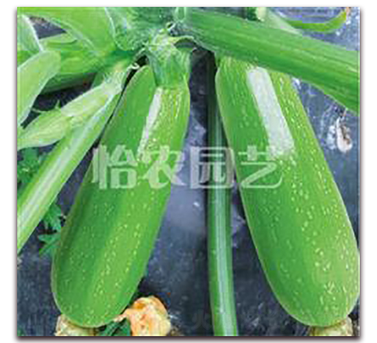 �G��������J-�����J�N��-���r(n��ng)�@ˇ