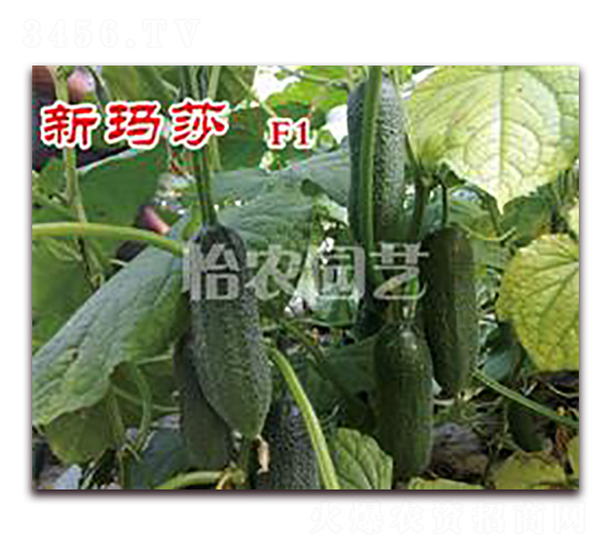 �¬�ɯ-�S�ϷN��-���r(n��ng)�@ˇ