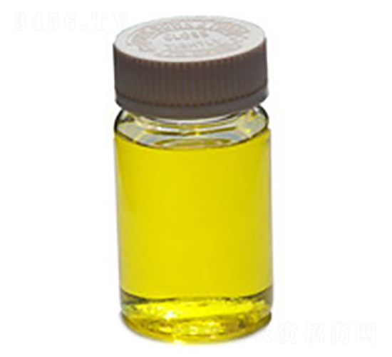 Һ�w���-ïʩ