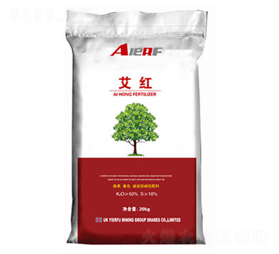 �������A��⛷�-���t-������