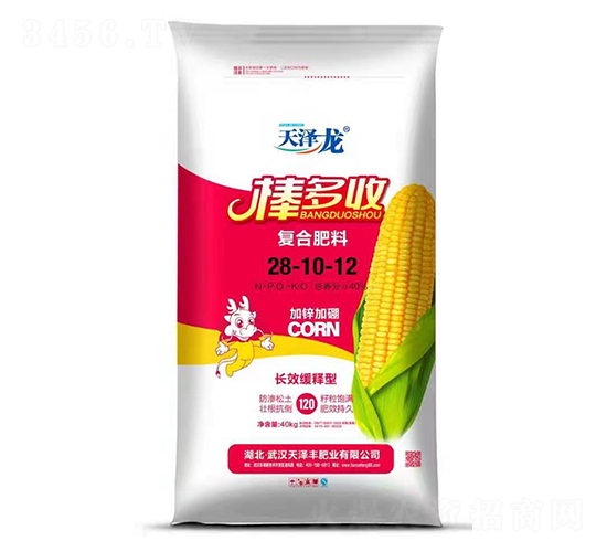 �LЧ����͏ͺϷ���28-10-12-������-�����