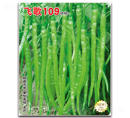 �w��109-�����N��-�w���r(n��ng)�I(y��)