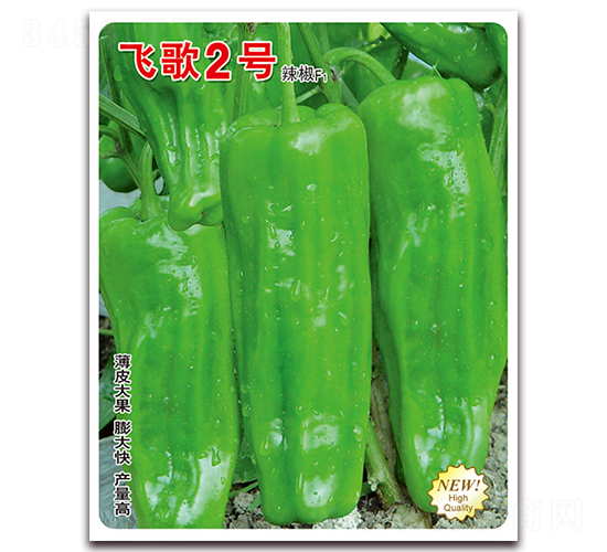 �w��2̖(h��o)-�����N��-�w���r(n��ng)�I(y��)