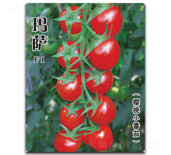 ���_-���ѷN��-�w���r(n��ng)�I(y��)