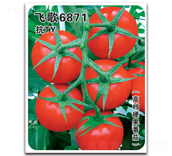 �w��6871-���ѷN��-�w���r(n��ng)�I(y��)