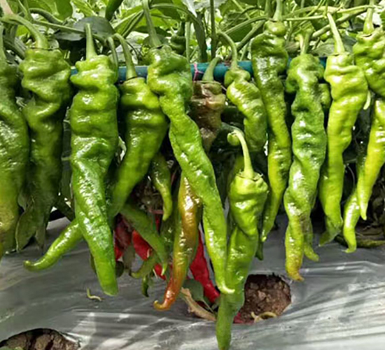 �]���N��-���R�_(k��i)Ԫ