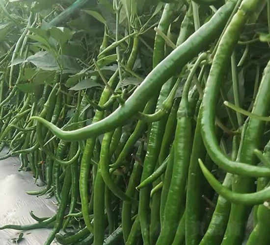 �M(j��n)�ھ����N��-���R�_Ԫ