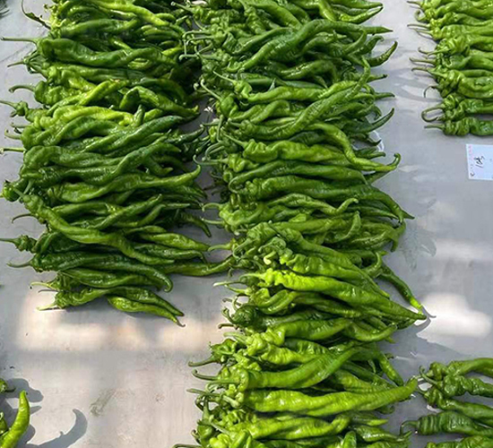 �M���ݽz���N��-���R�_Ԫ