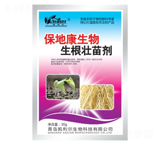 �������焩-���ؿ�-�P����