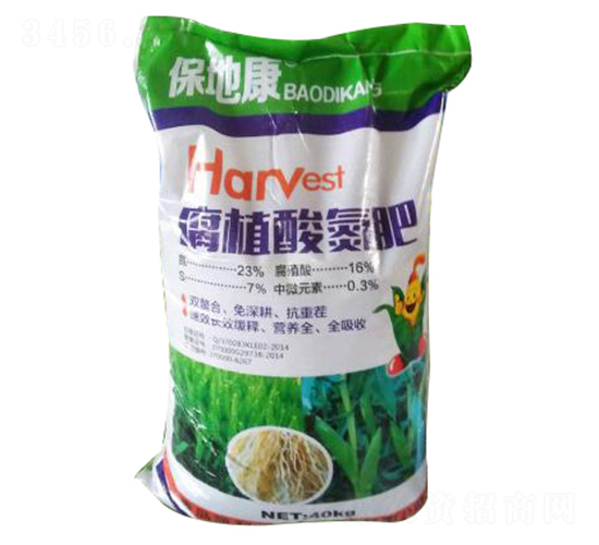 ��ֲ�ᵪ��-���ؿ�-�P����